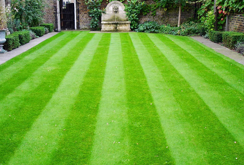 Keeping your lawn in tip top condition
