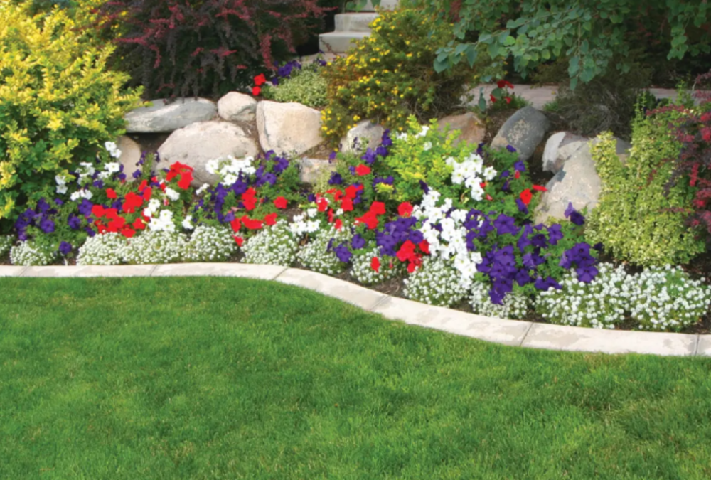 Garden maintenance and why you need to keep on top of it.
